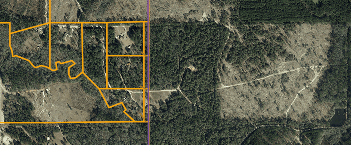 Official parcel viewer map showing property details