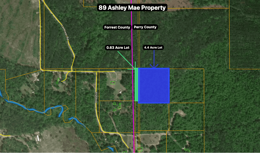 Land Insights detailed parcel analysis for 89 Ashley Mae Rd showing dual-county property boundaries and features